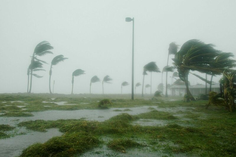Weather - Extreme Winds Hurricane in Florida